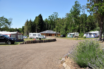 Whitefield-Forest-Touring-Park