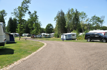 Whitefield-Forest-Touring-Park