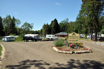 Whitefield Forest Touring Park