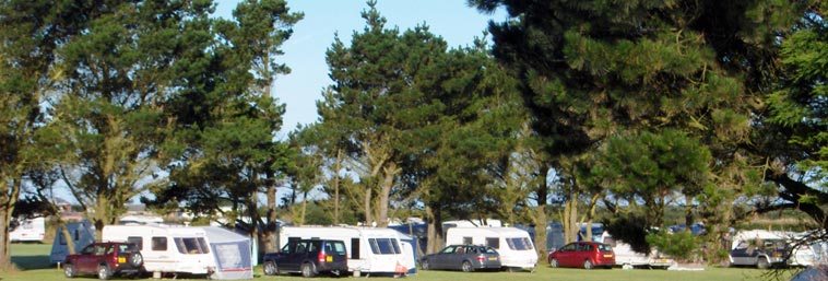 Redlands-Touring-Caravan-and-Camping-Park