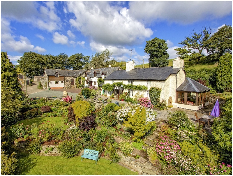 Click here for more about Sheep Dip