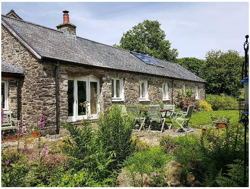 Click here for more about Cwt Mochyn